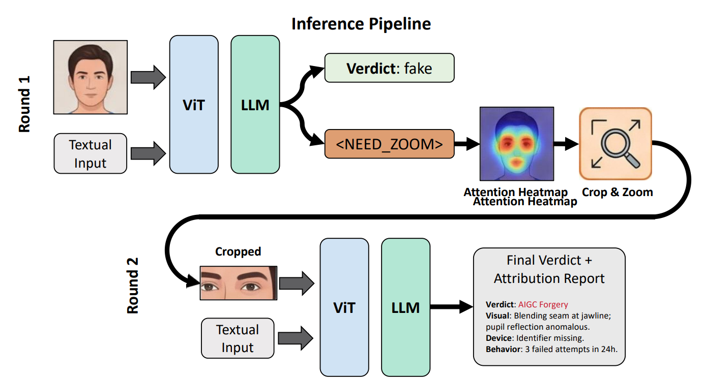 ForensicZoom Diagram
