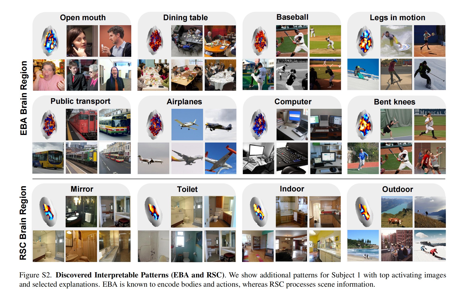 Discovered Interpretable Patterns in EBA and RSC brain regions showing fine-grained visual concepts