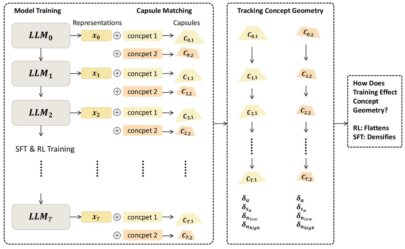 Fitting a capsule to each concept's representation cloud across checkpoints
