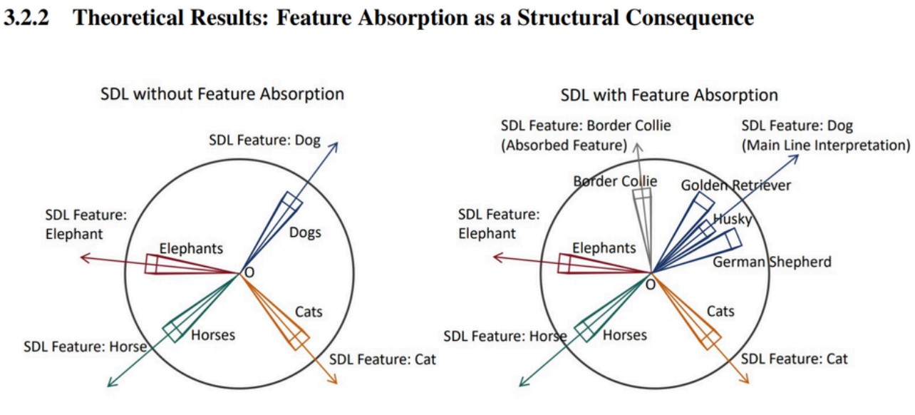 Feature absorption: Border Collie is carved out of the Dog feature